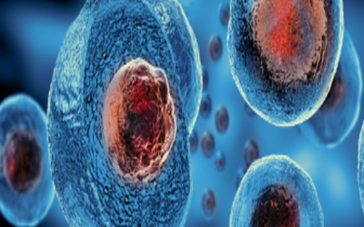 Što su matične stanice i koja je njihova važnost u ljudskom organizmu?